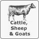 Wendland's Cattle, Sheep, Goat & Livestock feeds